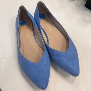 Restricted Blue Pointed-Toe Suede Flats